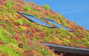 Ixworth Thorpe living roof systems